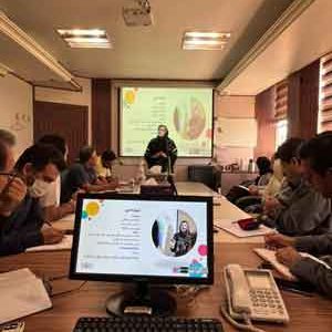 دوره تصمیم گیری و حل مسئله با کمک اوریگامی در هولدینگ امید فنر